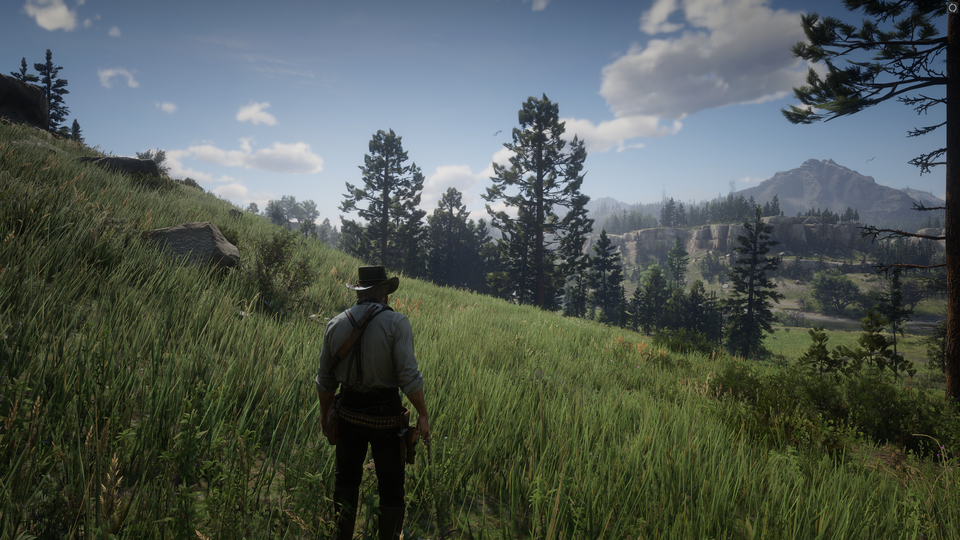 Scène uit Red Dead Redemption 2.