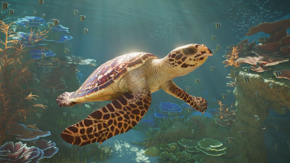 Planet Zoo 2 - PS5 – afbeelding 5