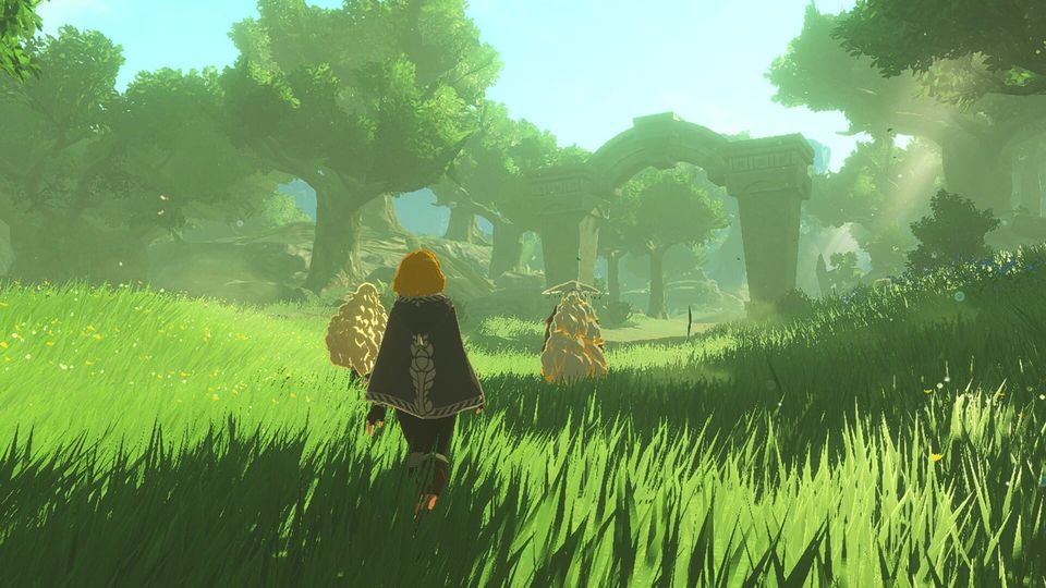 Gameplaybeeld uit Hyrule Warriors: Age of Imprisonment.