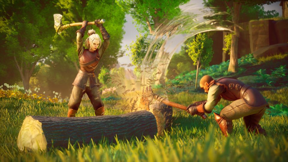 RuneScape: Dragonwilds - Steam – afbeelding 11