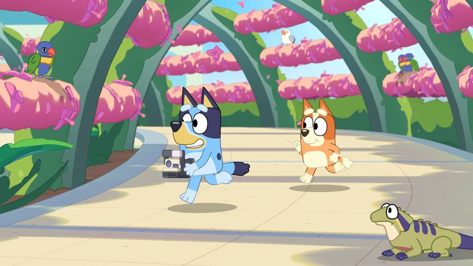 Scène uit Bluey's Happy Snaps.