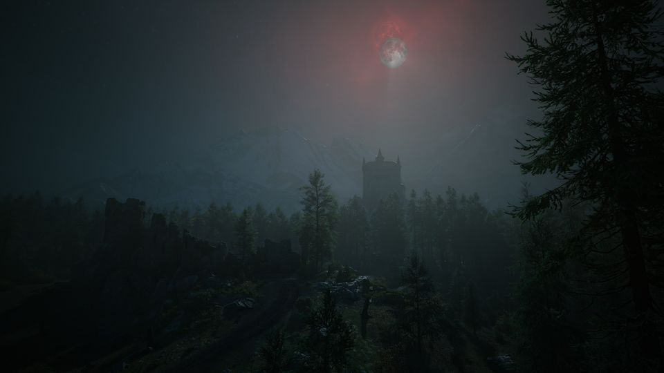 The Blood of Dawnwalker Collector's Edition - Steam – afbeelding 14