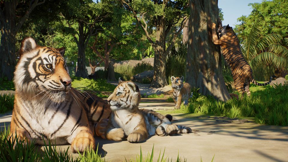 Planet Zoo 2 - PS5 – afbeelding 7
